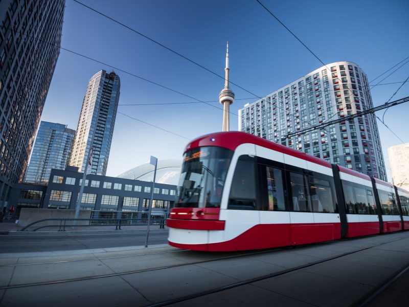 Rodents on the TTC: What That Means for Toronto Residents